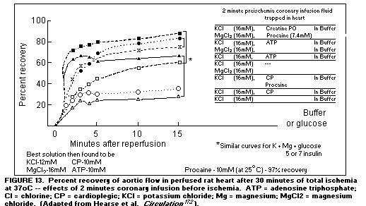 Cardio Figure 13