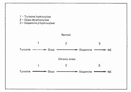 Guy Abraham Figure 1