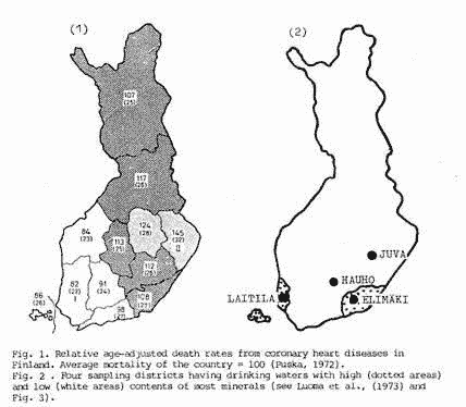 Luoma figure 12