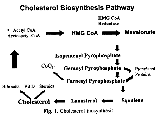 Statin figure 1